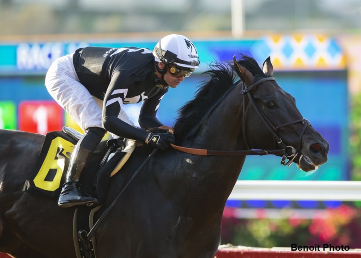 Heywoods Beach, Tizamagician Meet Again, This Time On Turf In Del Mar