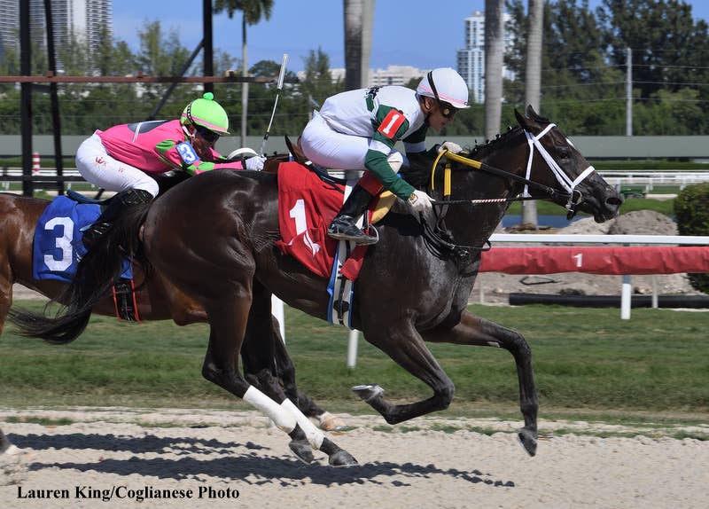 Strategy Queen Chasing Third Straight Win In Ginger Brew - Paulick Report