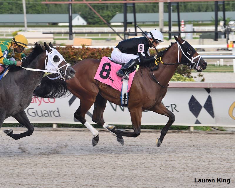 Girolamo’s Attack Victorious In Miami Beach Handicap At Gulfstream ...
