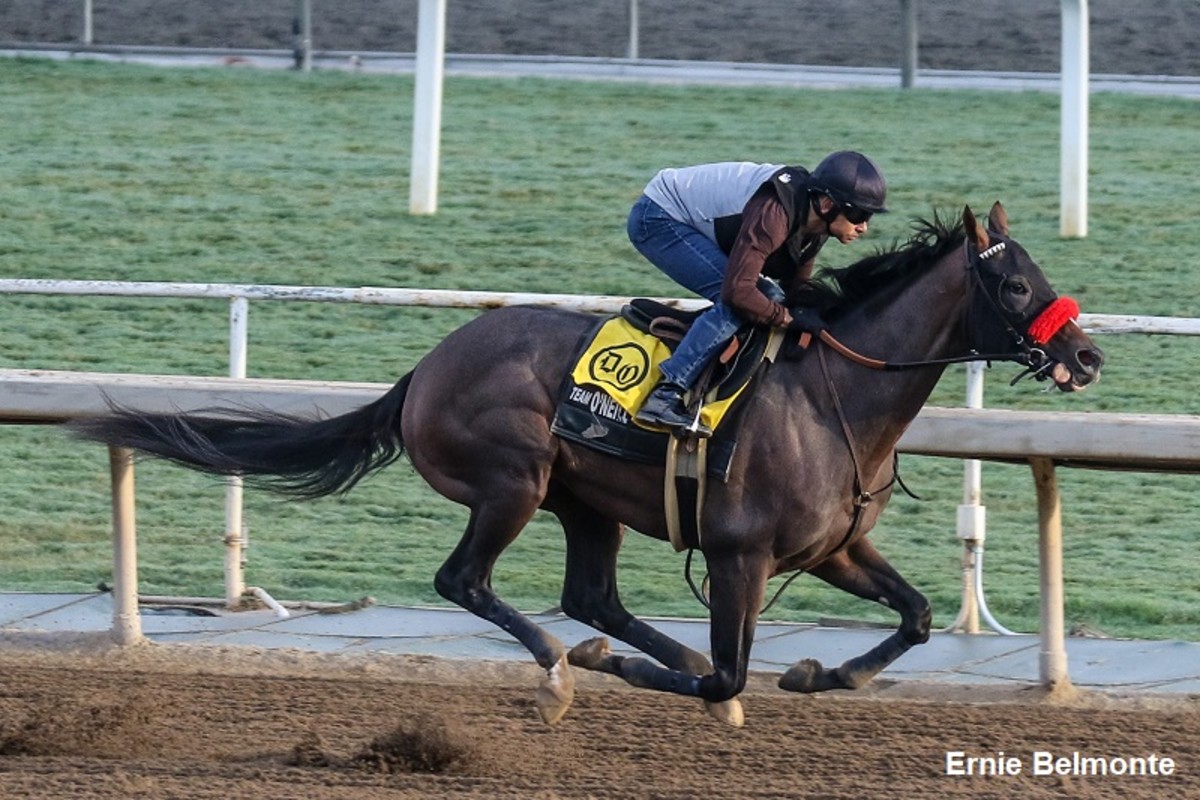 Hot Rod Charlie Works In Preparation For BC Classic Nov. 6 Paulick