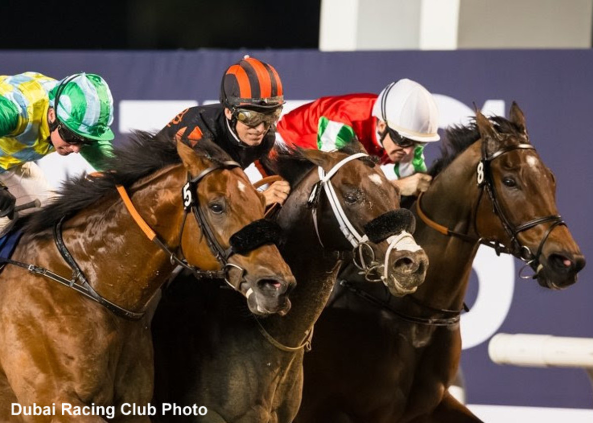 Скачки на лошадях