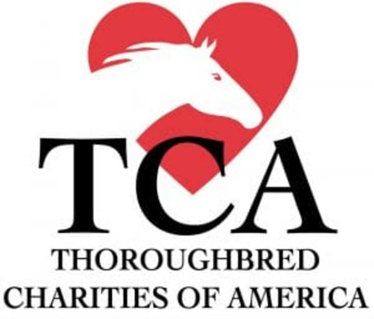 TCA Stallion Season Auction Launches Jan. 8 - Paulick Report | Latest ...