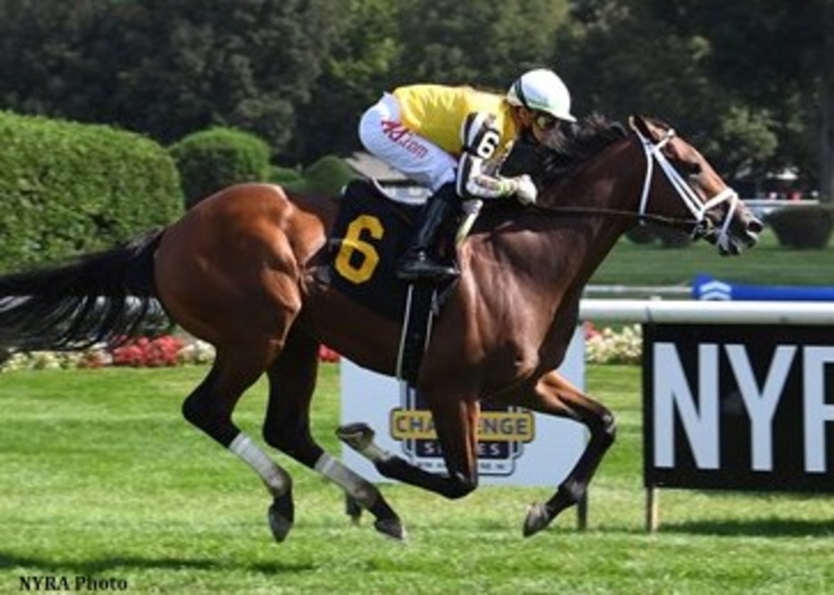 HighClass Annapolis Steps Into Stakes Company In Pilgrim Paulick