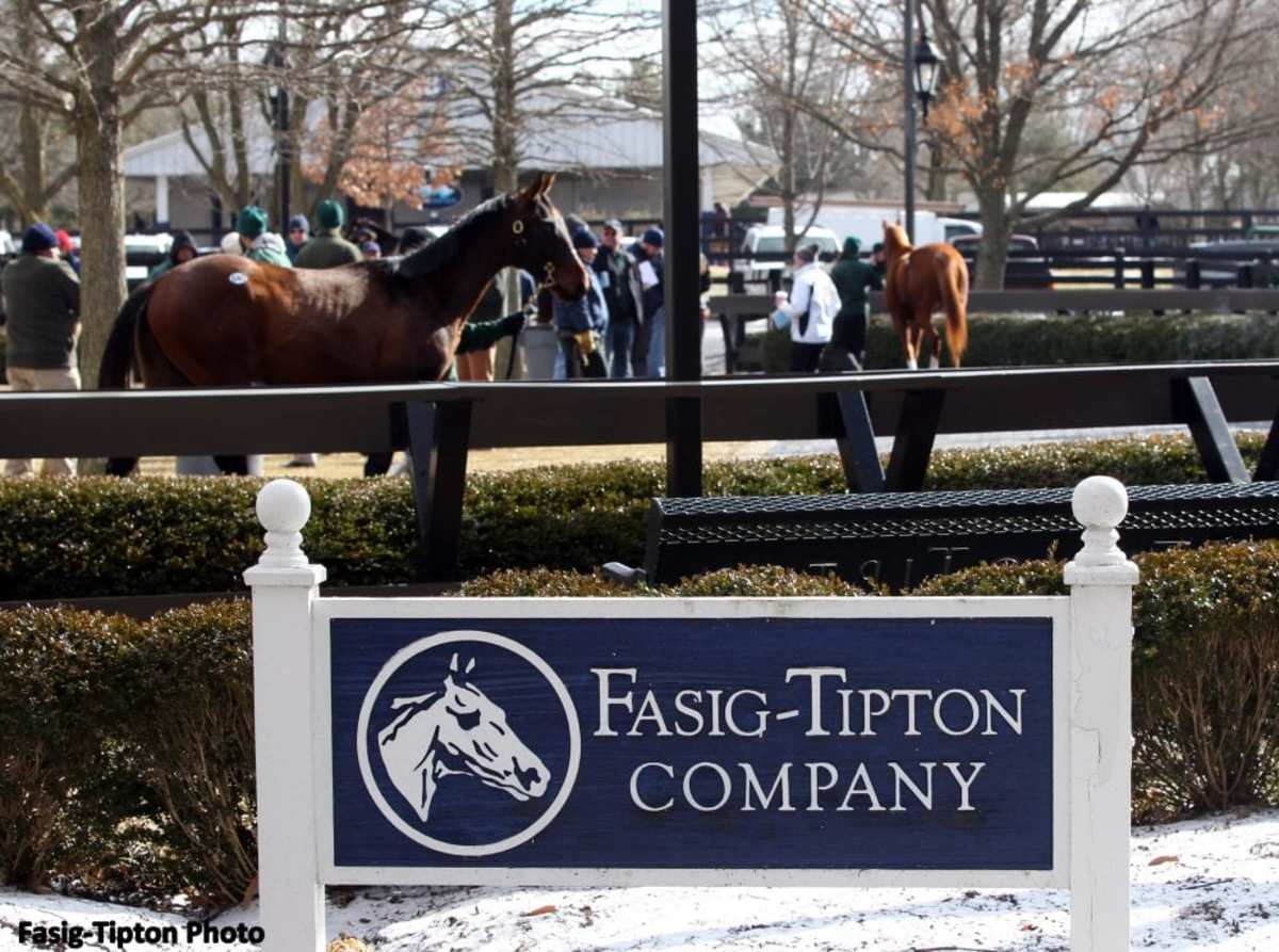 FirstCrop Sire Watch 2024 FasigTipton Kentucky Winter Mixed Sale