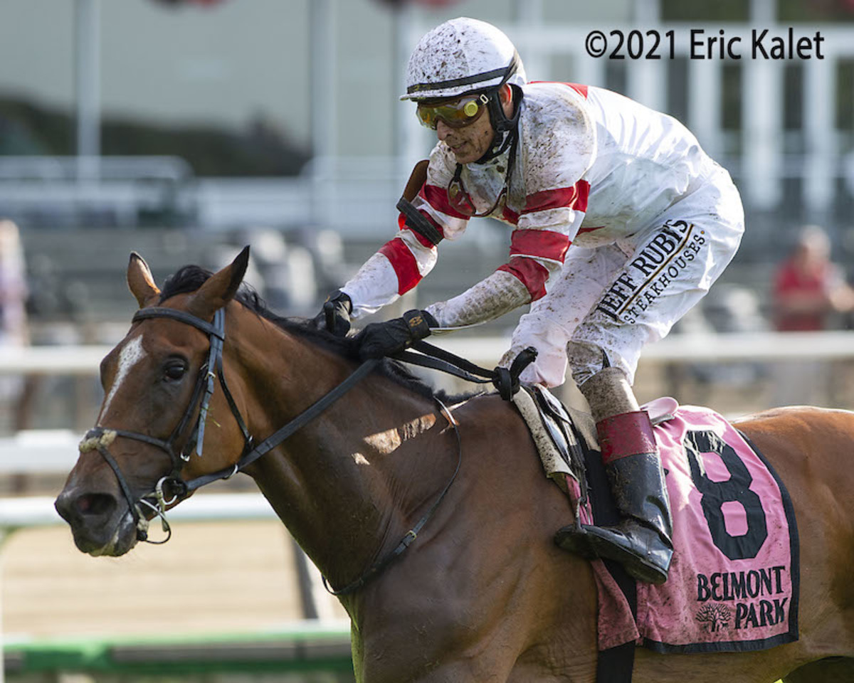 Baron Samedi Continues European Dominance In Marathon Belmont Gold Cup