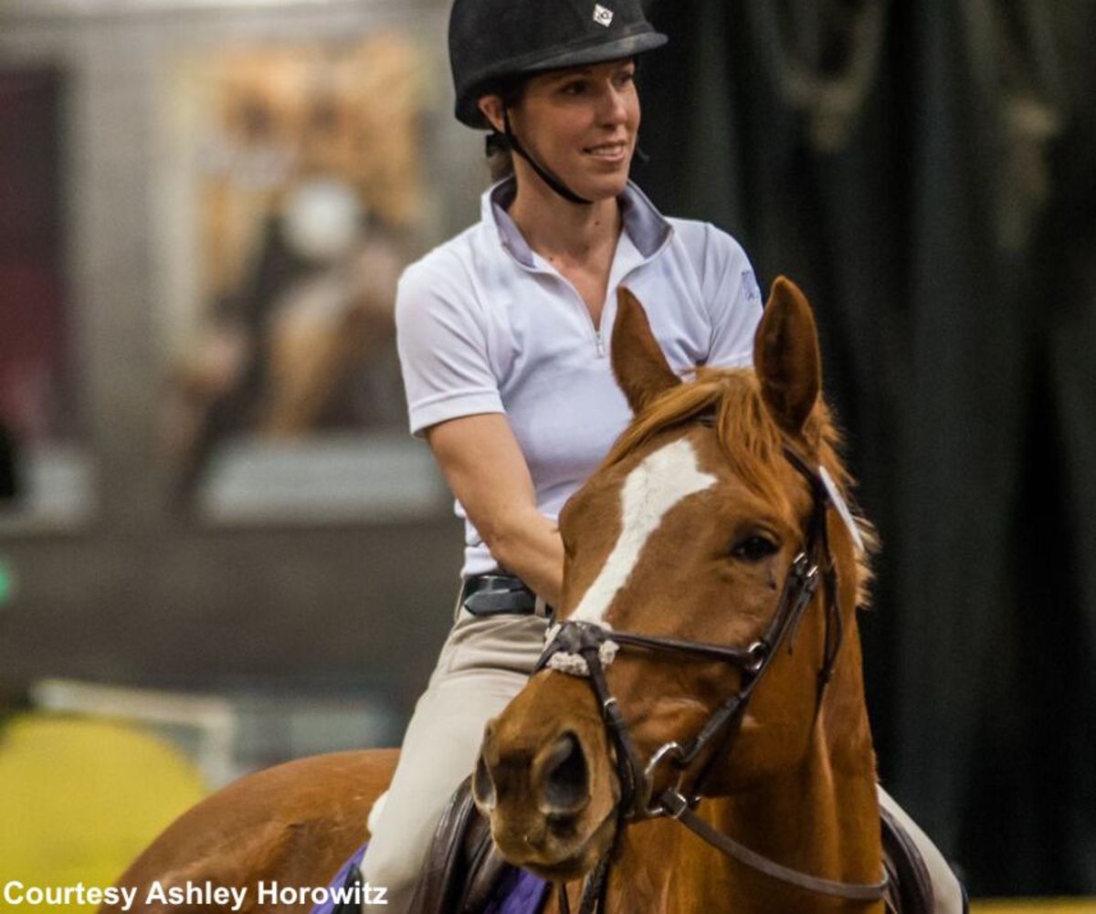 Lesson Horses Presented By John Deere Equine Discount Program Jonathan And Ashley Horowitz On