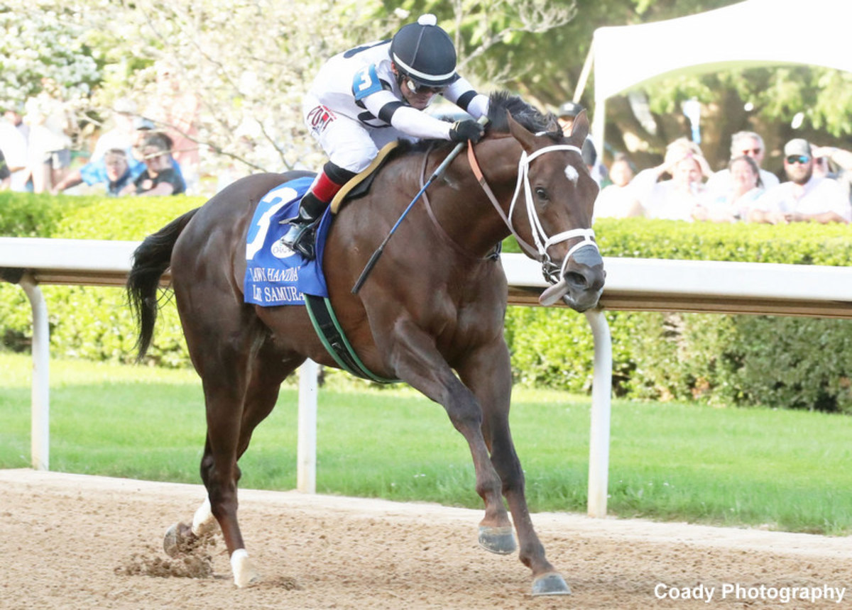 Lukas Pointing Last Samurai, Caddo River To Feb. 18 Razorback Handicap ...