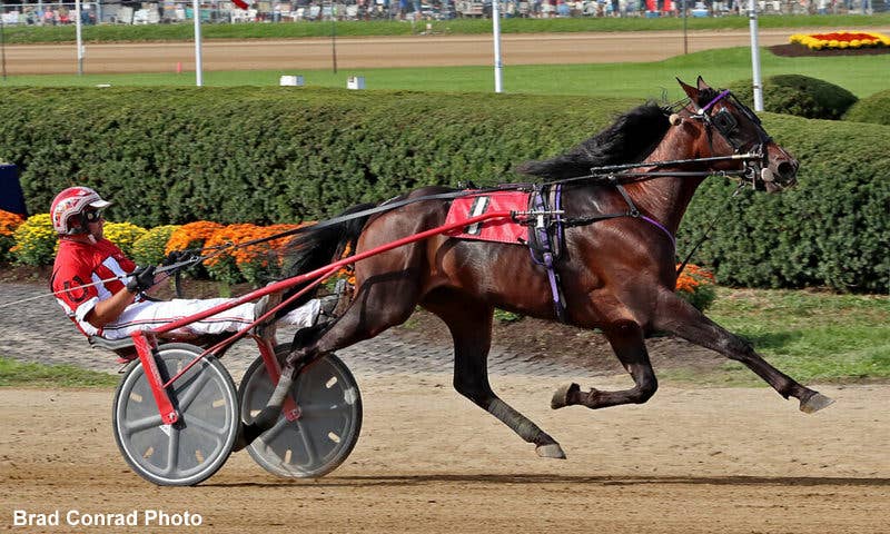 Mark Rumble Running Rumble Strips Sets New World Record For Freshman Colt Trotters At ...