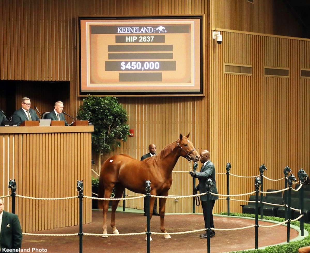 450,000 Connect Filly Leads Vibrant Trade On Tuesday At Keeneland