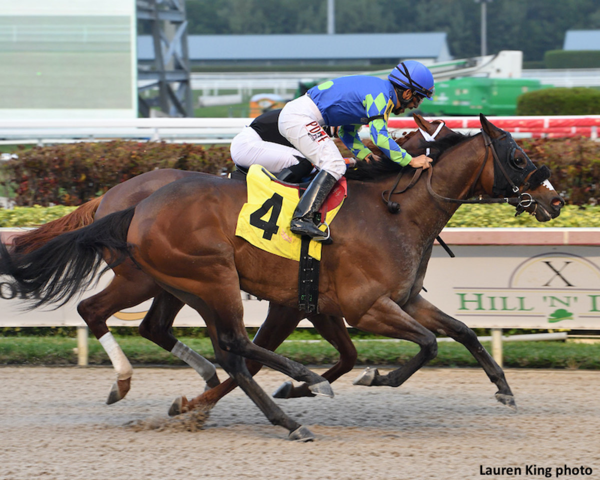 Miles Ahead Nips Drain The Clock In Gulfstream Park Sprint Paulick