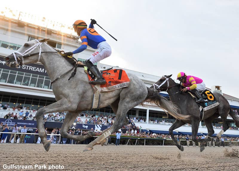 Grade 1 Winners White Abarrio, Zandon To Meet In Competitive