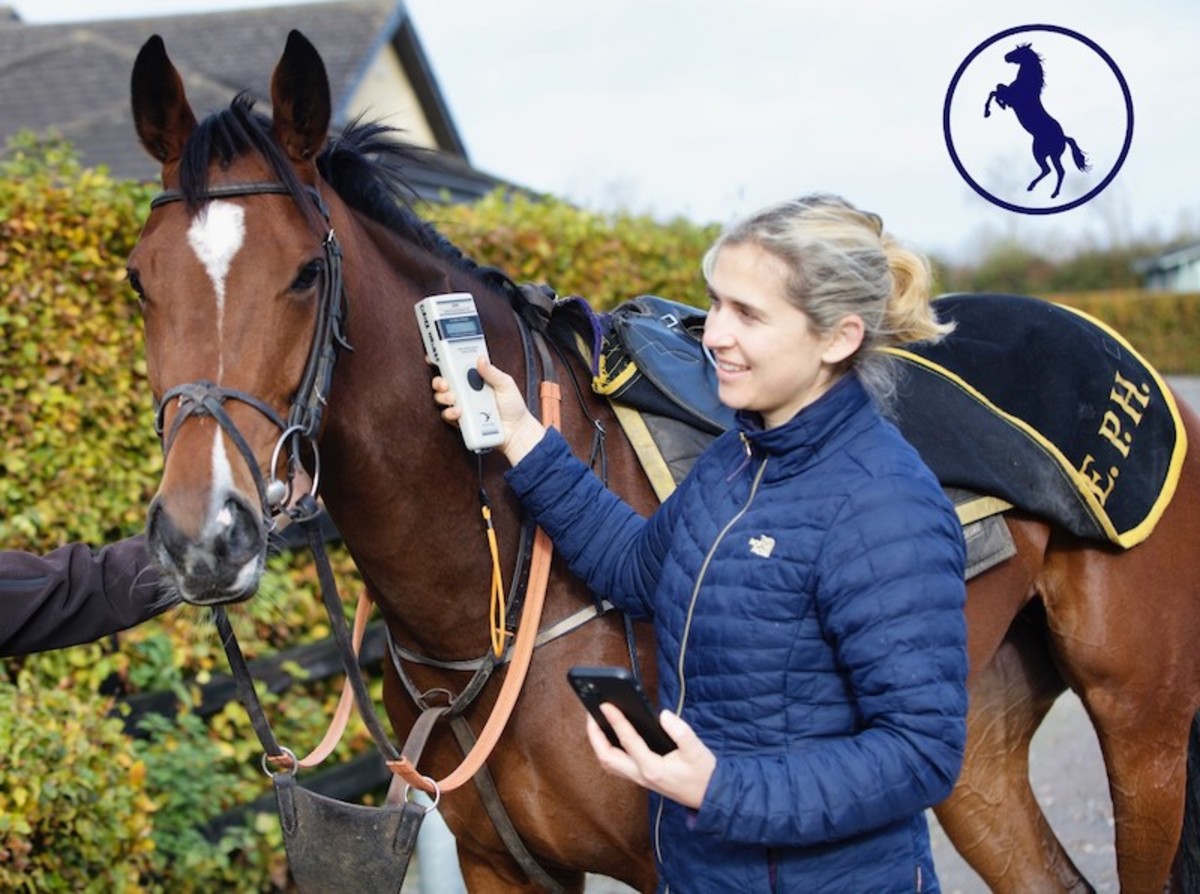 A Closer Look At: Monitoring Equine Health With EquiTrace - Paulick ...