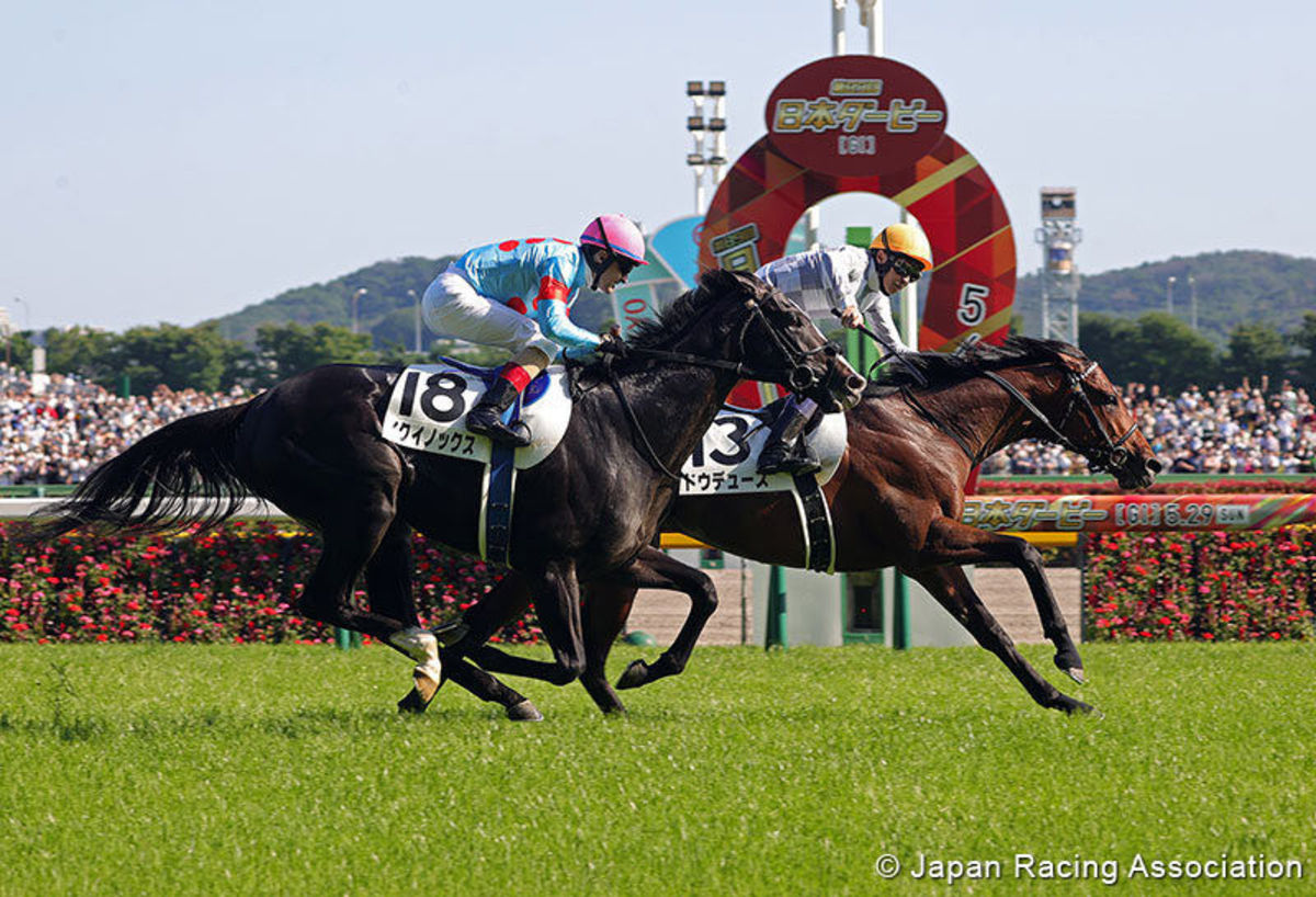 You Couldn't Be A Jockey And Not Dream Of Living This Moment': Do