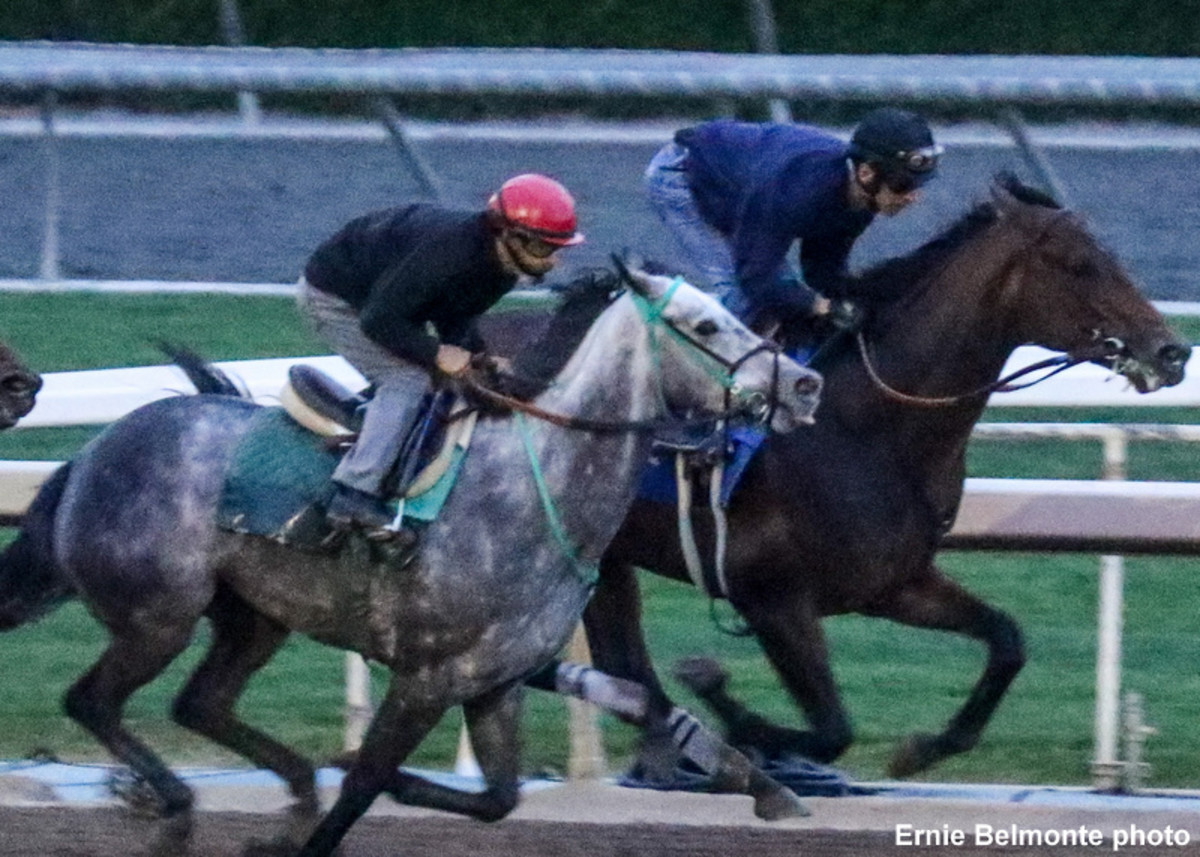Messier Drills Bullet In Workout For Santa Anita Derby Paulick Report
