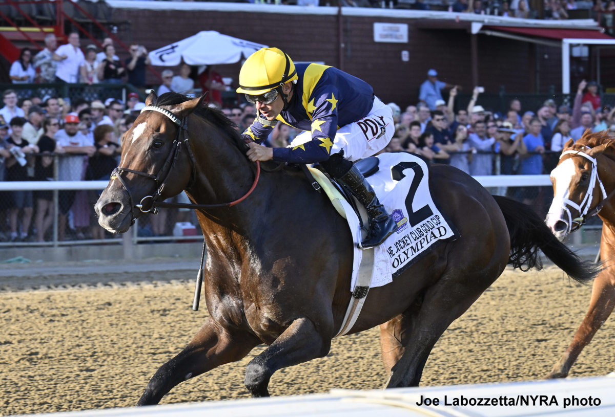 Grade 1 Jockey Club Gold Cup Winner Olympiad Retired To Gainesway