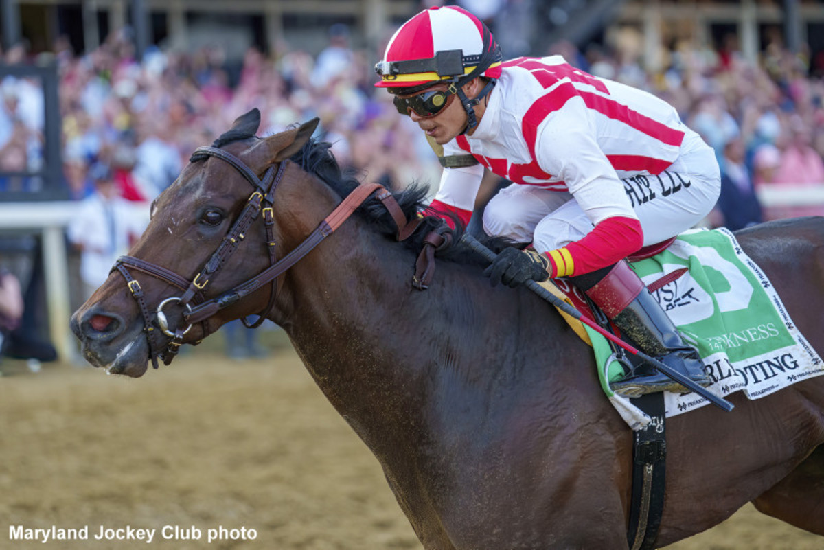 Preakness Winner Early Voting Confirmed For Jim Dandy Paulick Report Shining Light on the