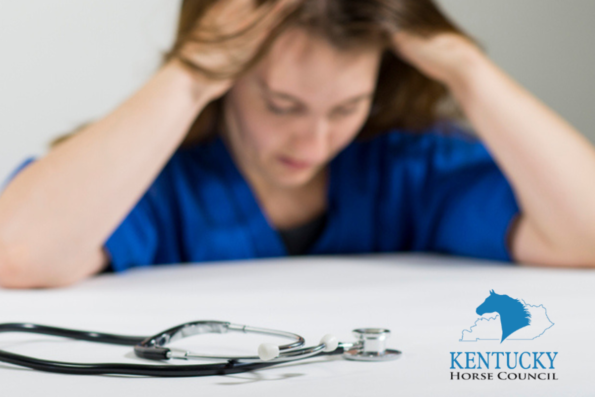 KENA How Is Kentucky Preparing For Large Animal Vet Shortage