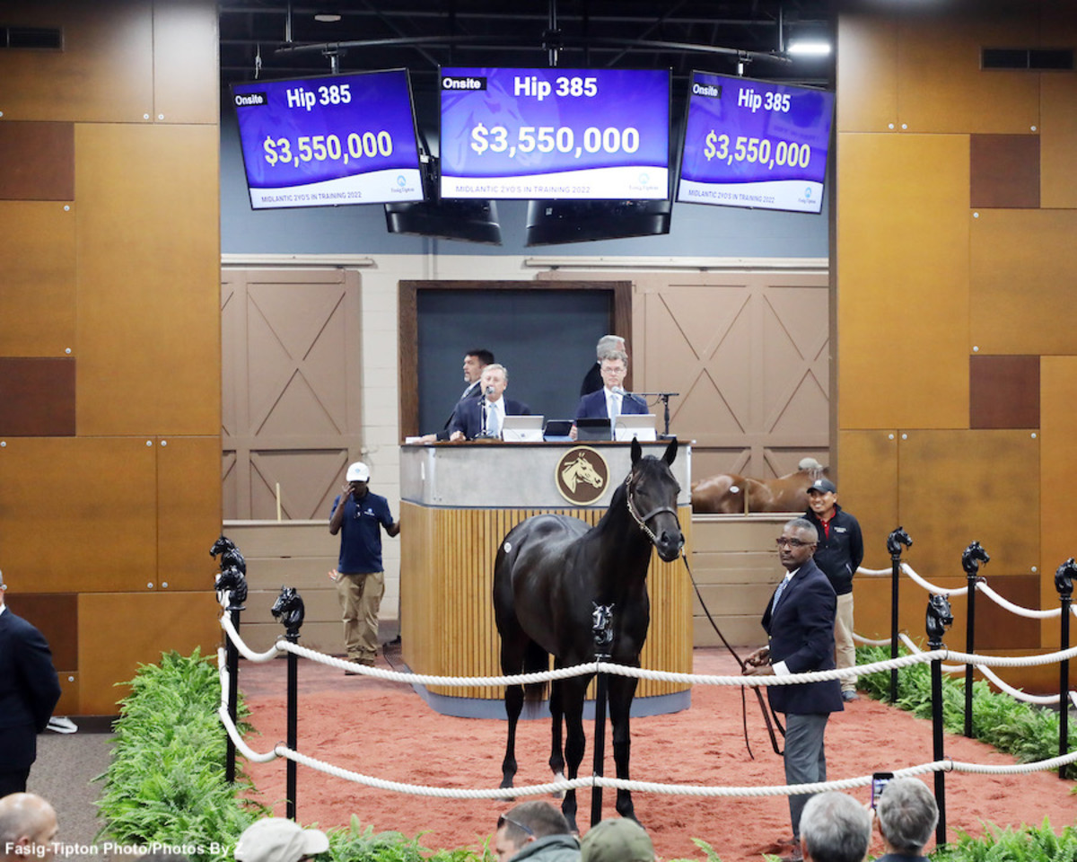 Records Fall, Bernardini Colt Stars At FasigTipton Midlantic 2Year