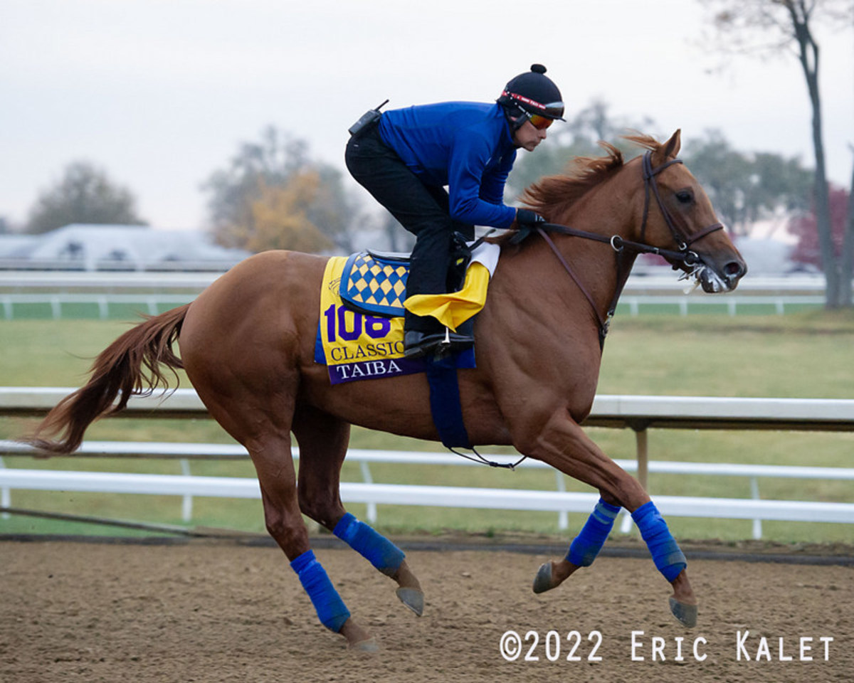 Santa Anita Workouts Equibase EOUA Blog