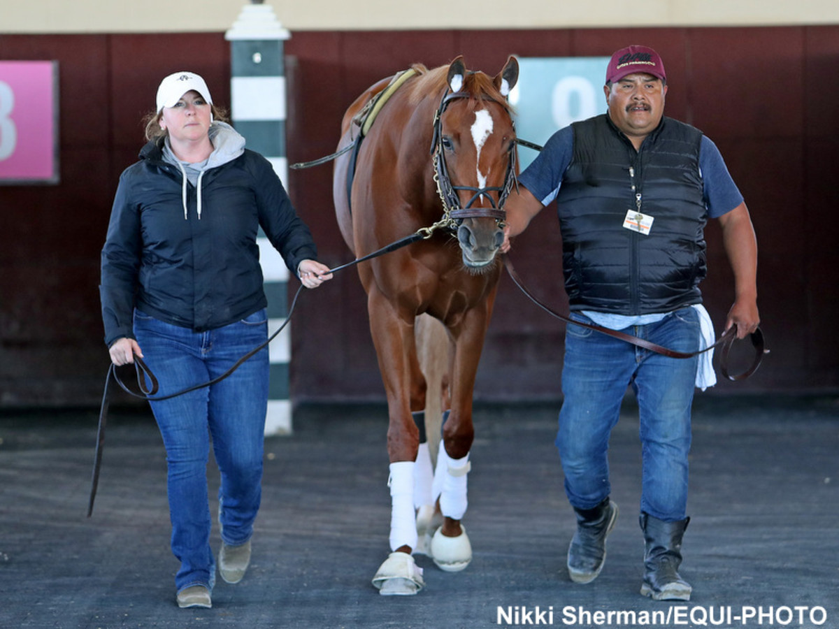 'Really Sensible' Society Ready For Cotillion After Saratoga Stay