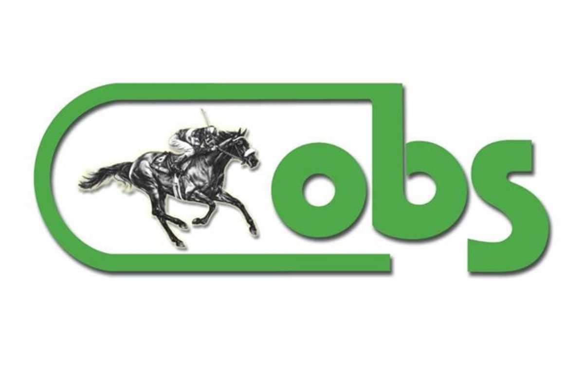 OBS 2024 October Sale Supplemental Catalog Now Online Paulick Report