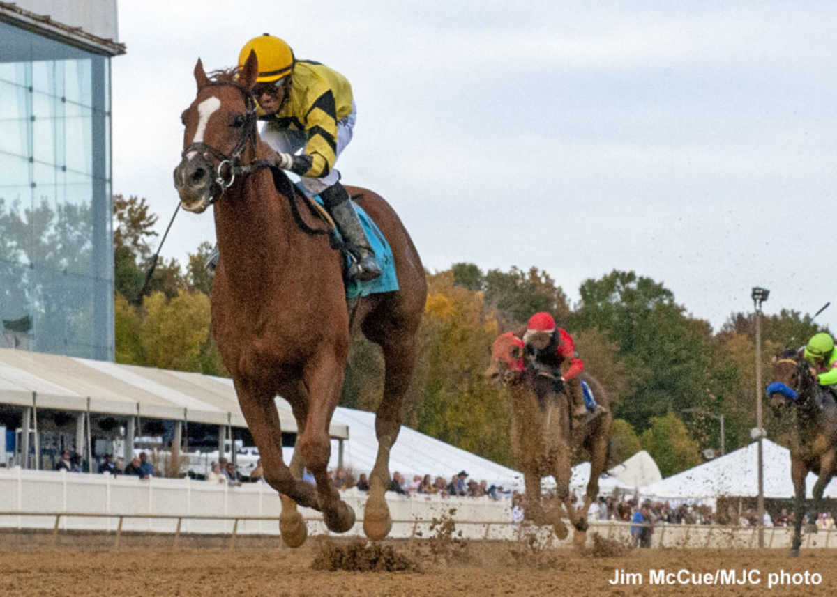 'Maryland's Day At The Races' Ournationonparade Wins Maryland Million