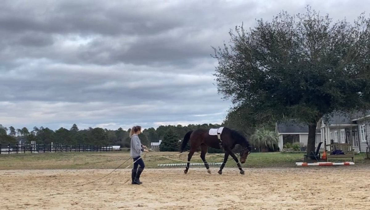 Mattis on the lunge, showing the stretching motion Newton was asking for. Photo courtesy Kathryn Jenkins
