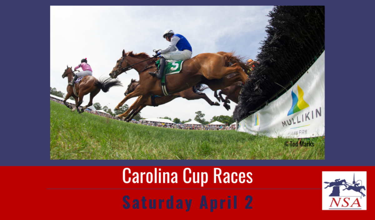 Saturday's Carolina Cup Marks First Stakes Race Of 2022 Steeplechase