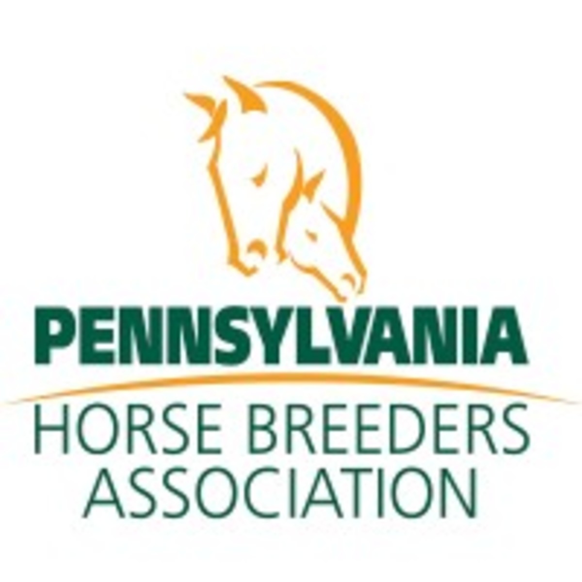 Pennsylvania Horse Breeders Association Releases 2022 Stakes Schedule