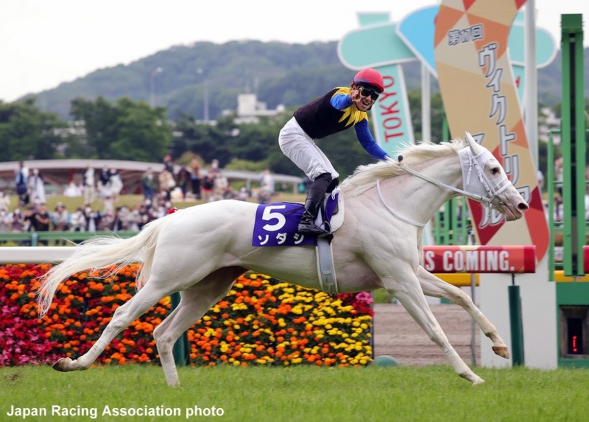 White Wonder' Sodashi Thrills With Victoria Mile Win In Tokyo