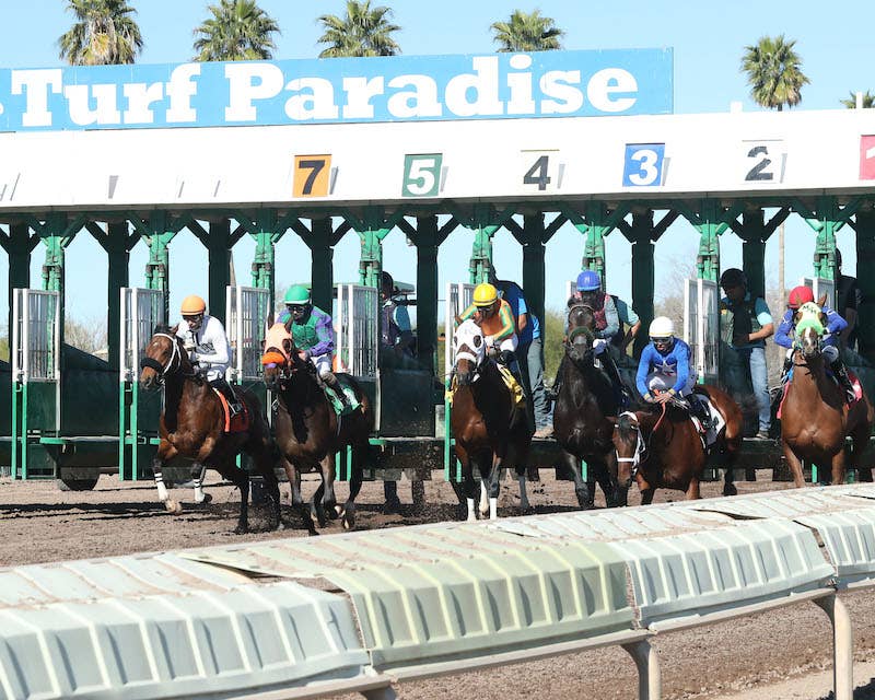 Turf Paradise To Launch Season Monday After Track Maintenance Issues ...