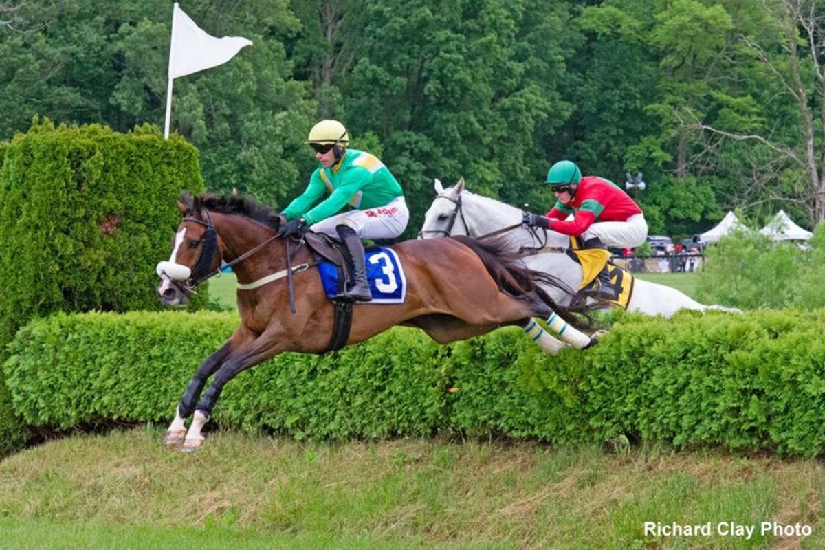 Virginia Gold Cup Returns On Saturday, May 7 Paulick Report Shining