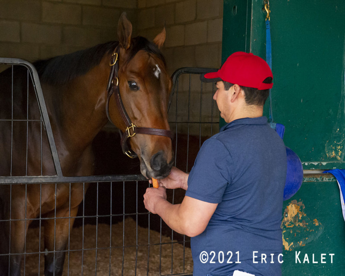Echo Zulu Improving, But Still Hospitalized Paulick Report Shining