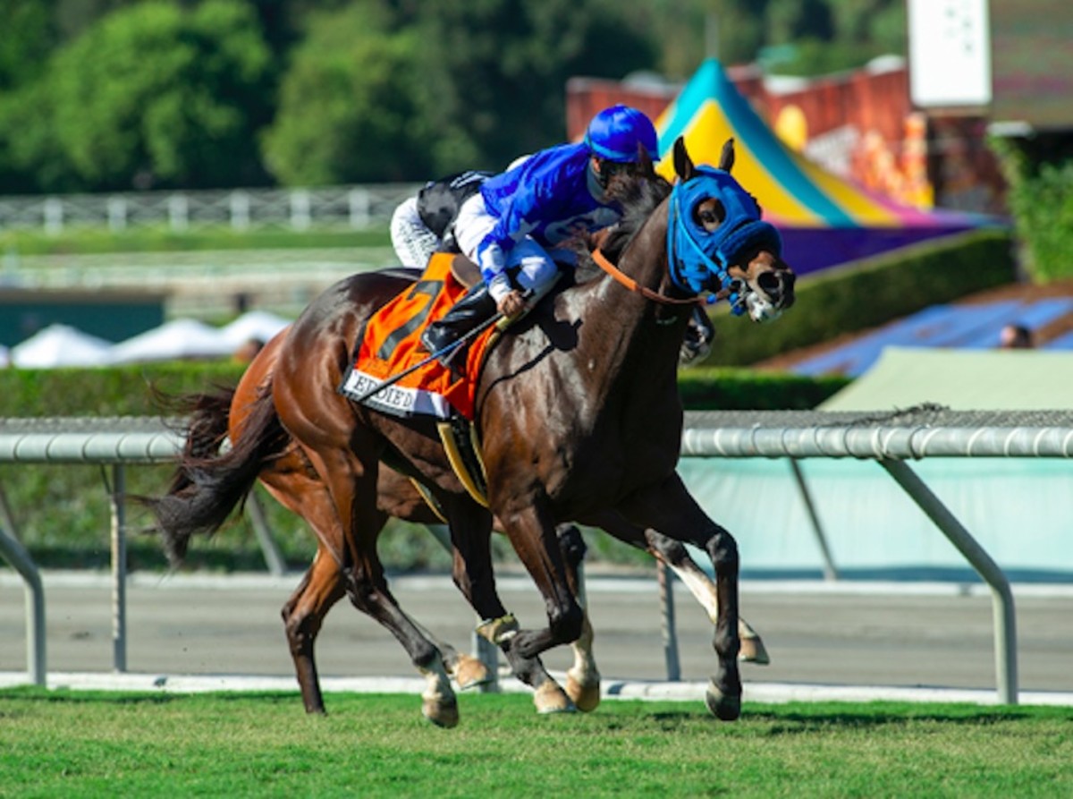 Whatmakessammyrun Returns To Downhill Turf In Saturday's Joe Hernandez
