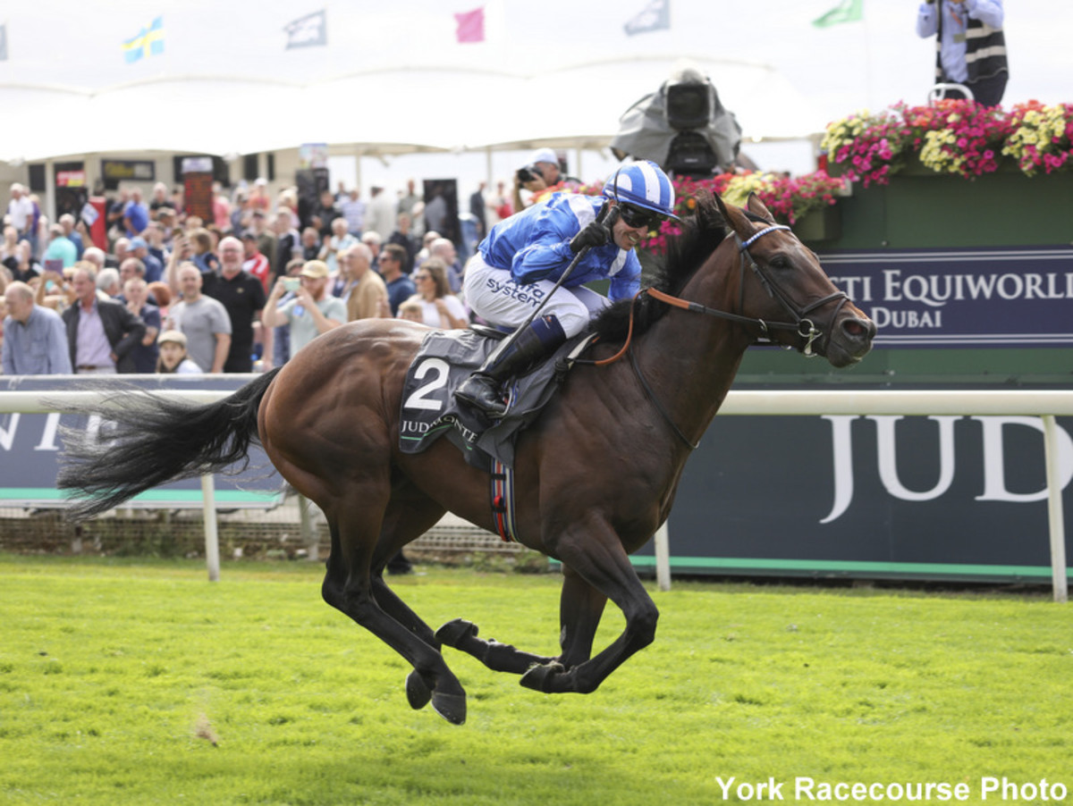 Baaeed Alpinista Top Nominees For Cartier Horse Of The Year