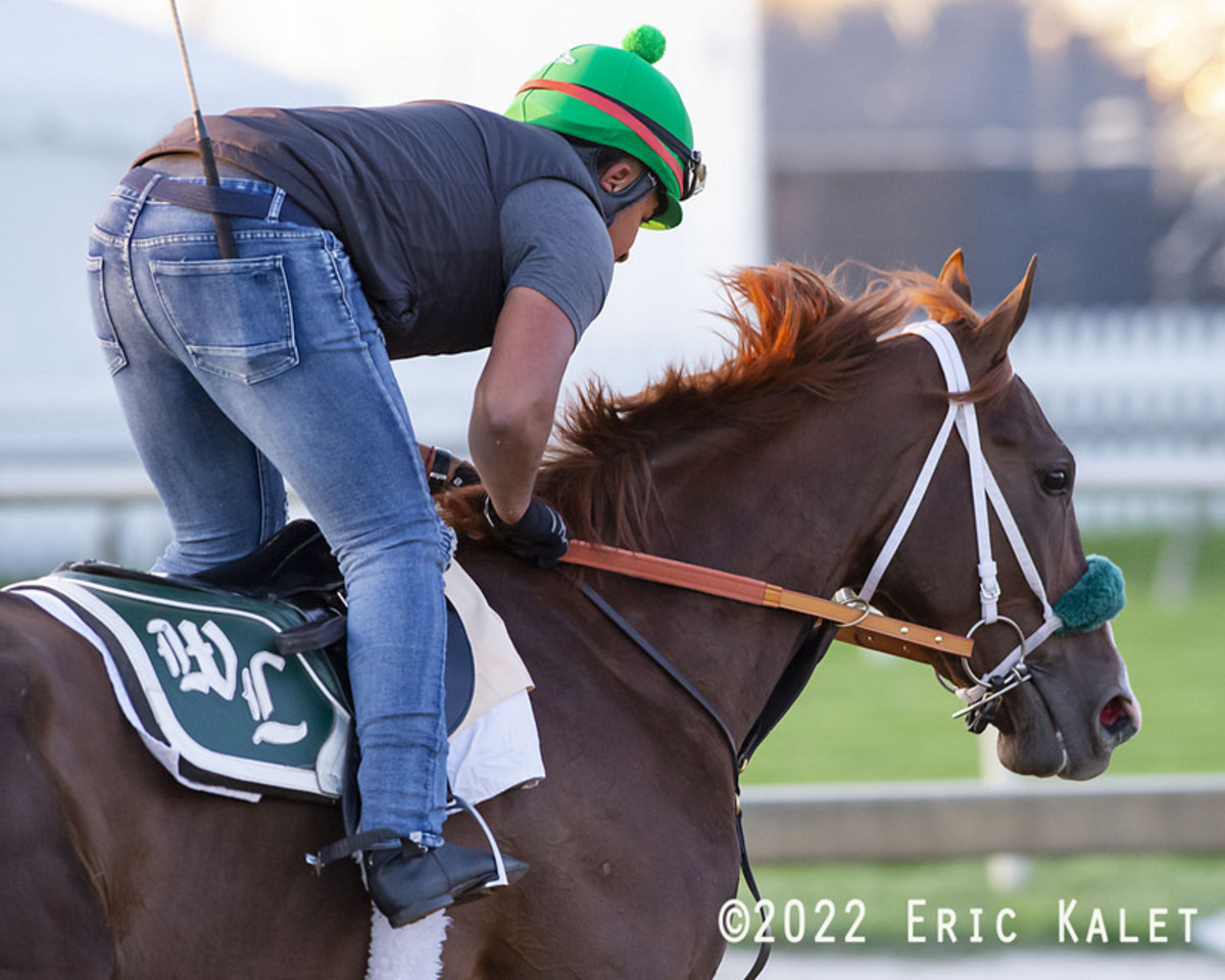 Secret Oath, shown May 18 at Pimlico