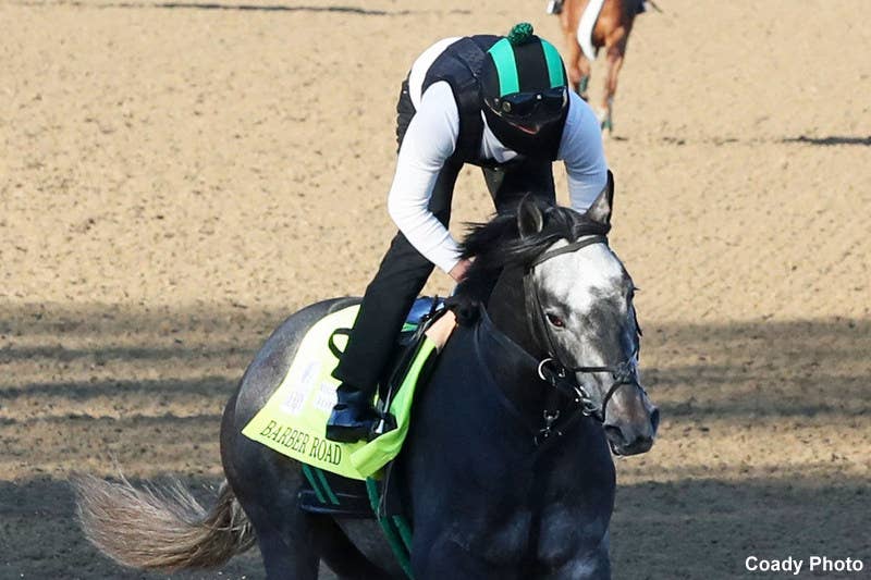 Kentucky Derby Sale Prices From 15,000 To 1.7 Million For A Shot At