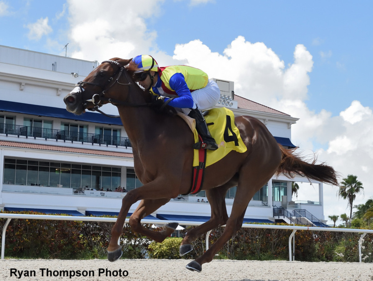 'Small But Mighty': Breeders' Cup Target For Undefeated Showgirl Lynne ...