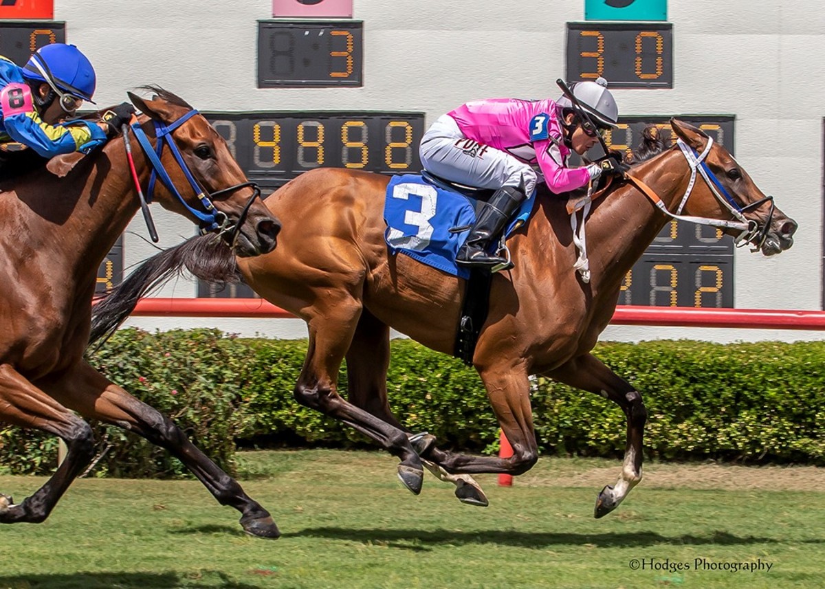 Cheapskate Diva, Takes Two To Tango Among StateBreds To Shine On