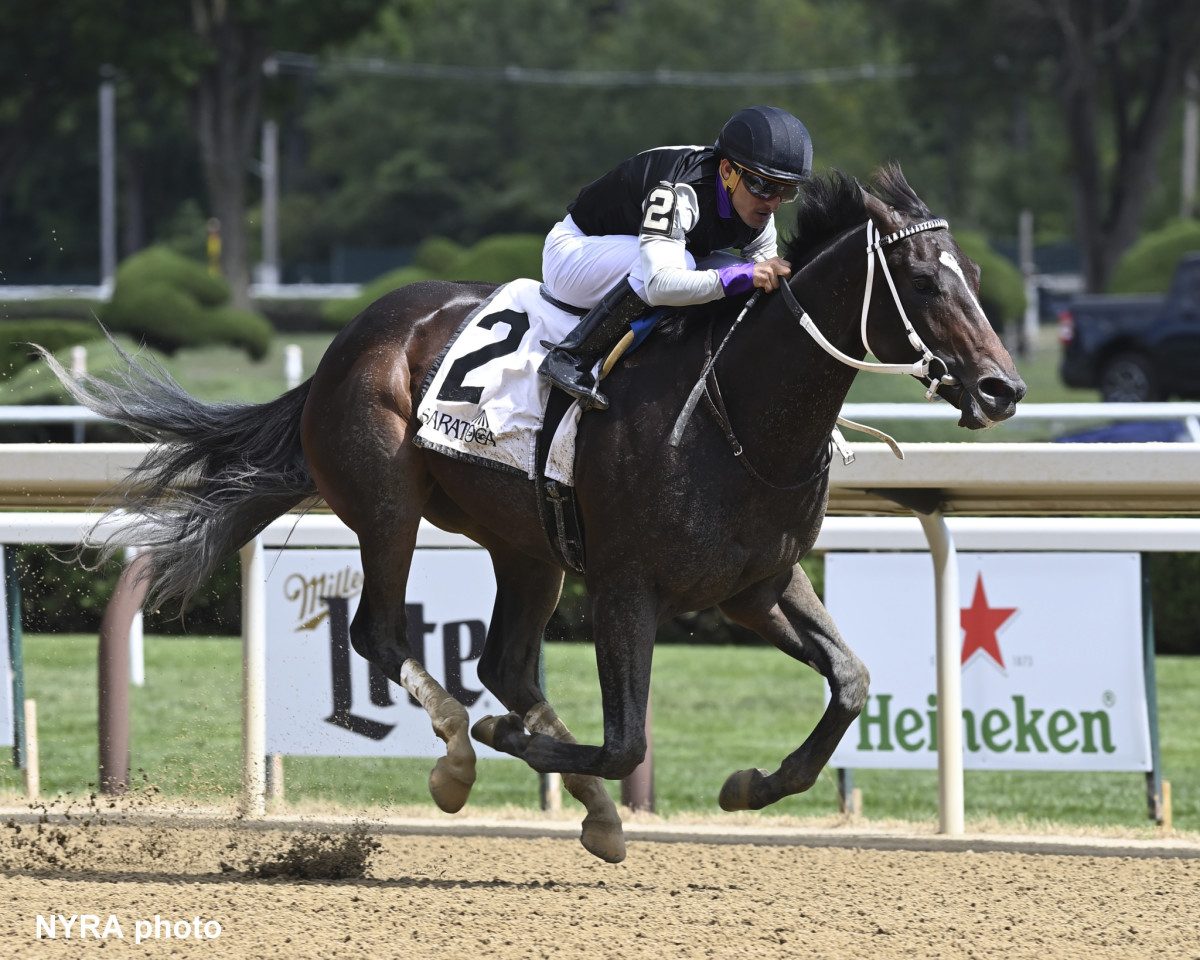 Bloodlines Presented By Texas Thoroughbred Association Damon's Mound