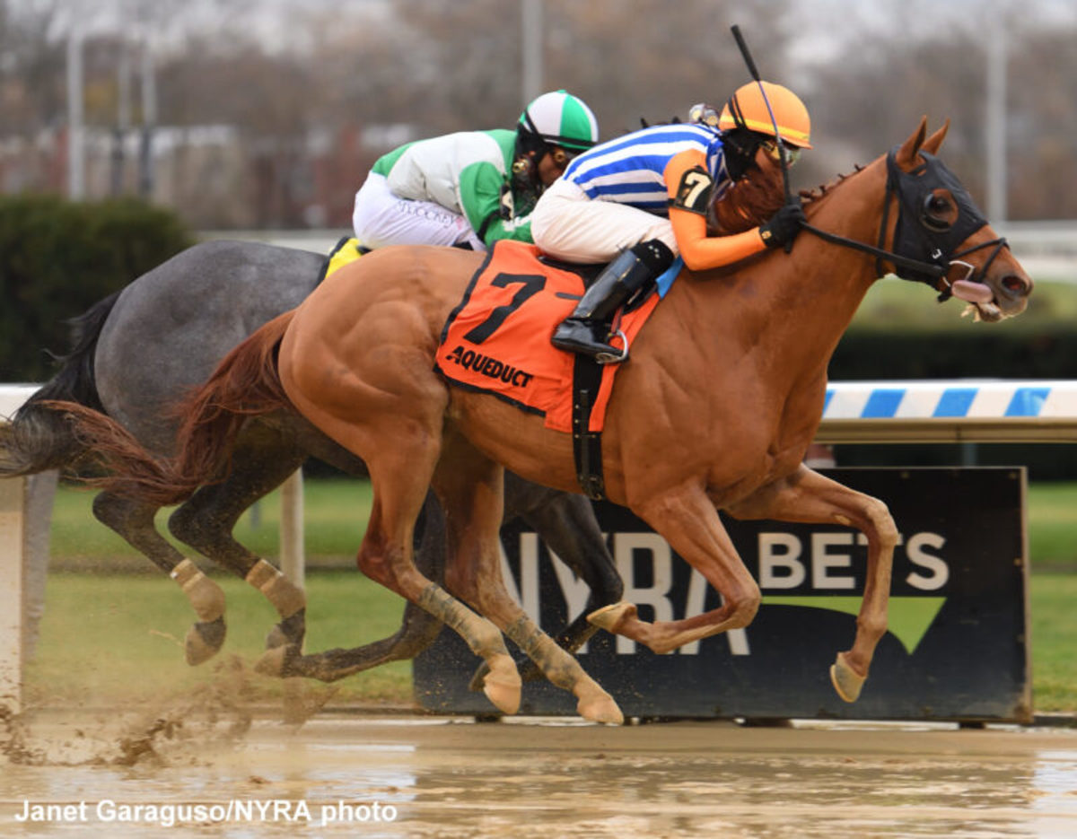 Full Field Of 12 Derby Hopefuls Entered In Tampa's Sam F. Davis Stakes ...