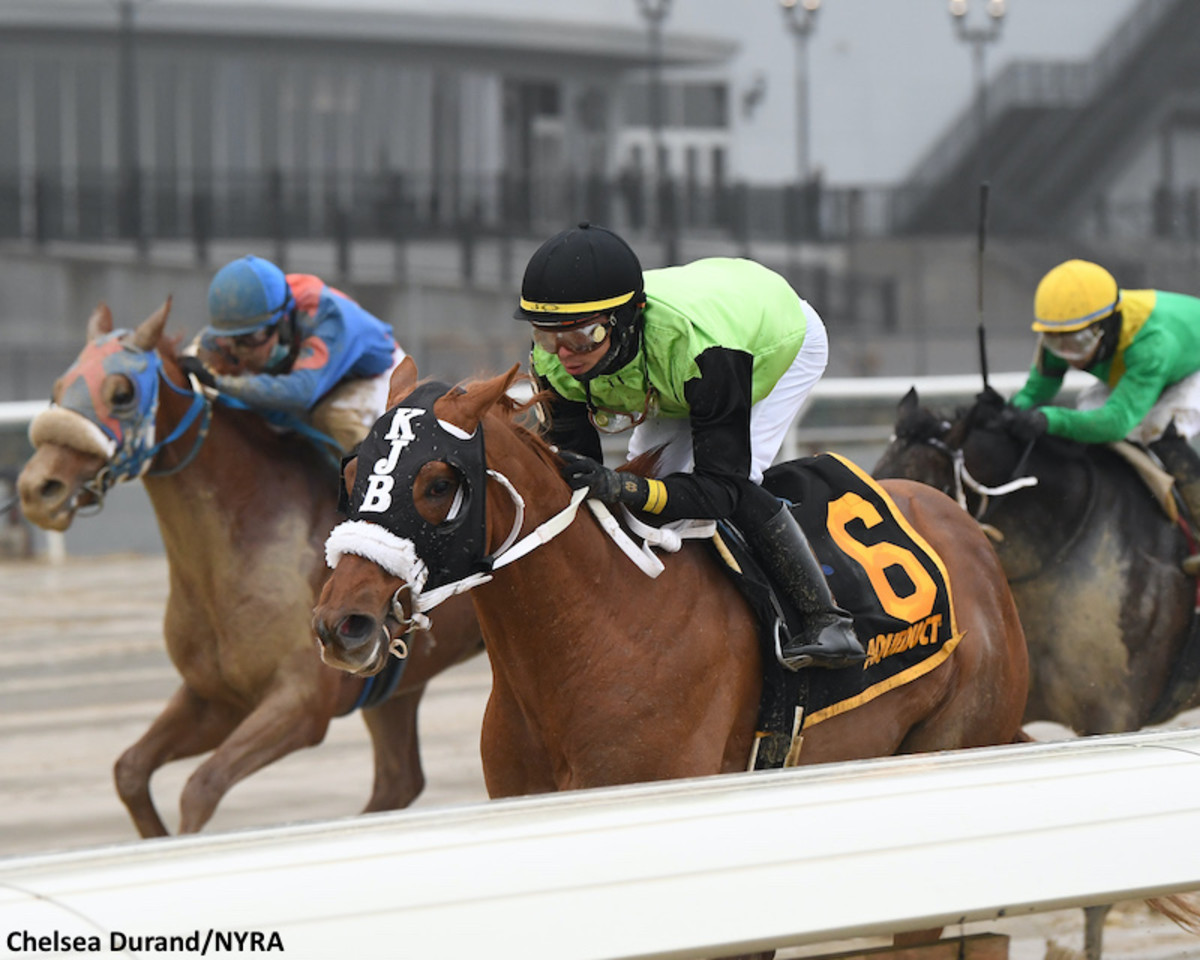 Top Three Finishers In Jerome Expected To Run Back In Feb. 5 Withers