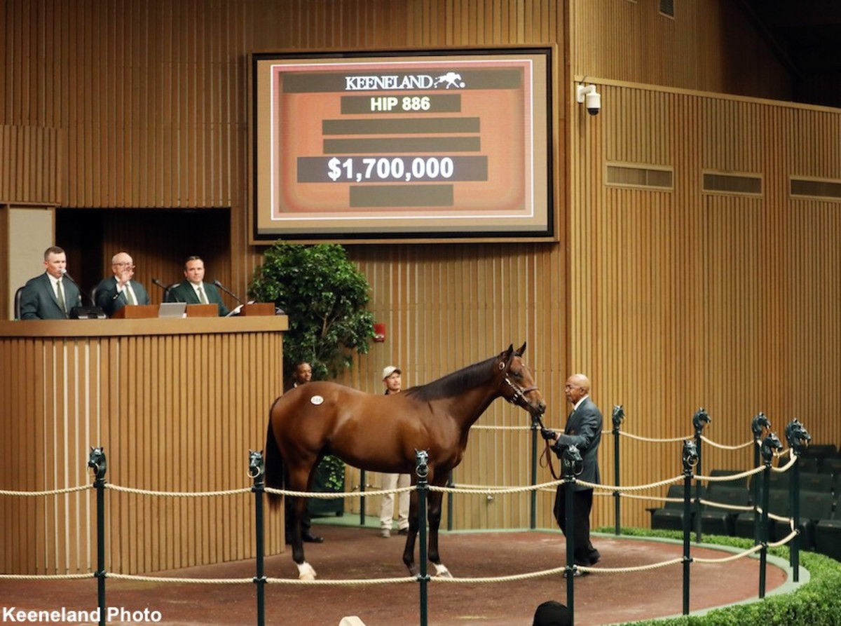 Week 1 Of Keeneland September Yearling Sale Concludes With Competitive