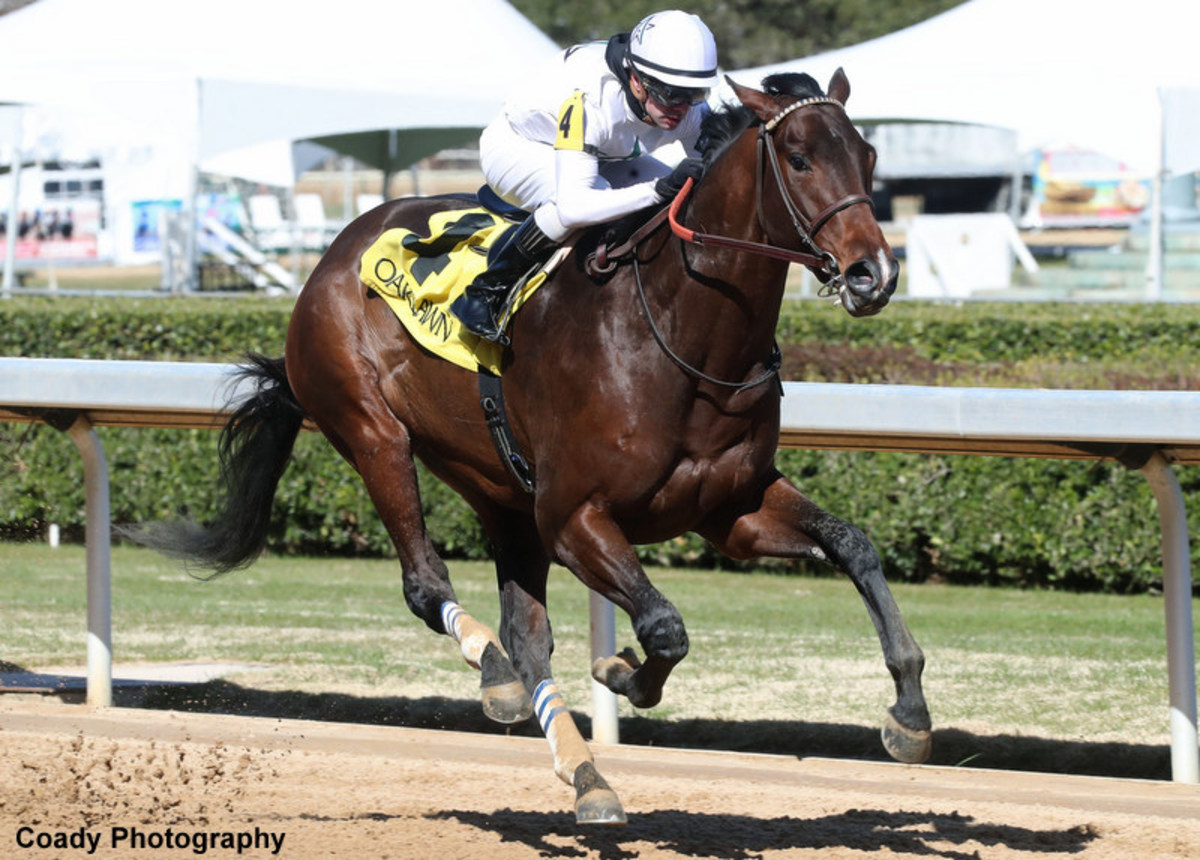 We The People To Aim For Major Kentucky Derby Prep - Paulick Report ...