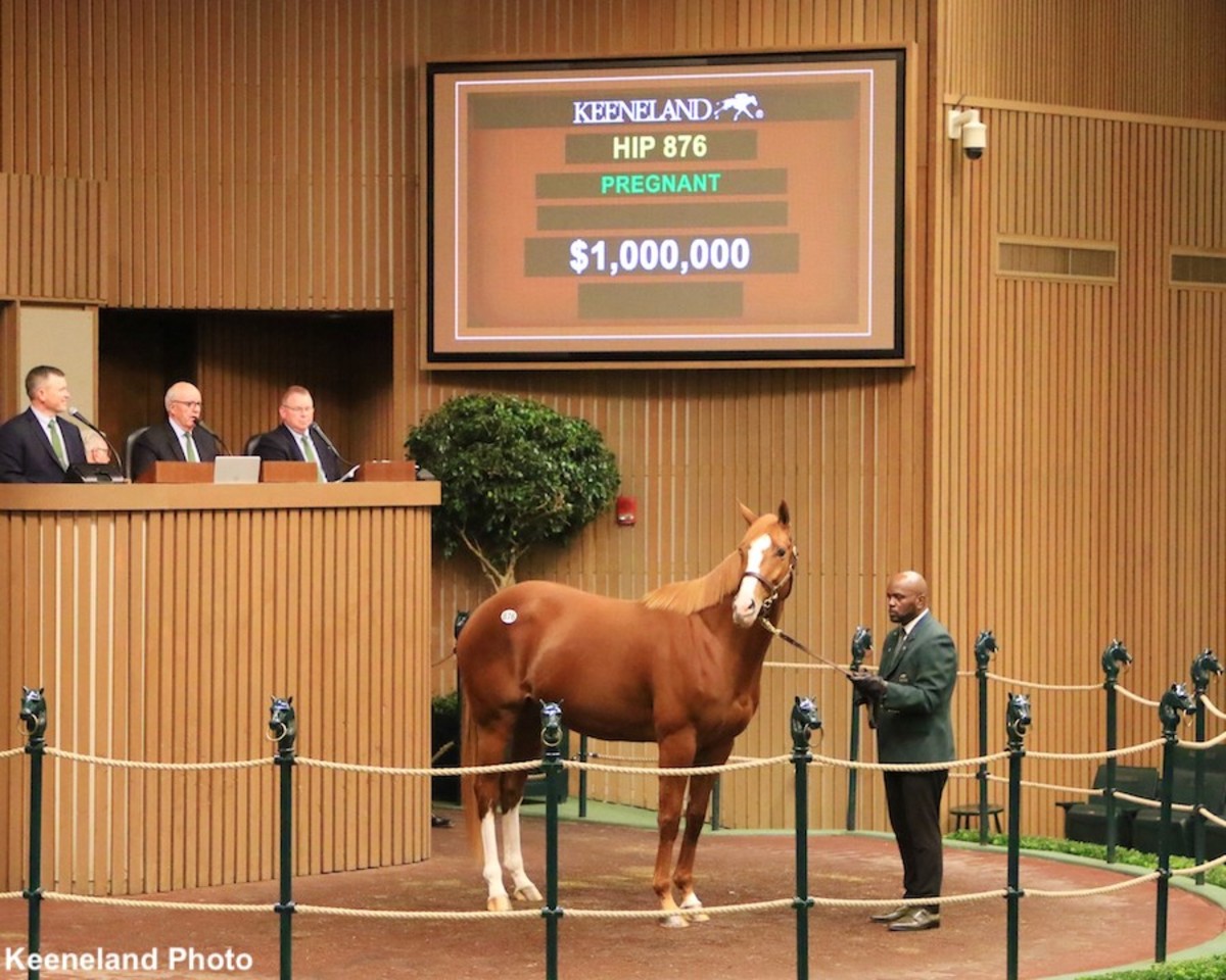 Proud Emma Sells For $1 Million During Third Session Of Keeneland November  Sale - Paulick Report | Shining Light on the Horse Industry