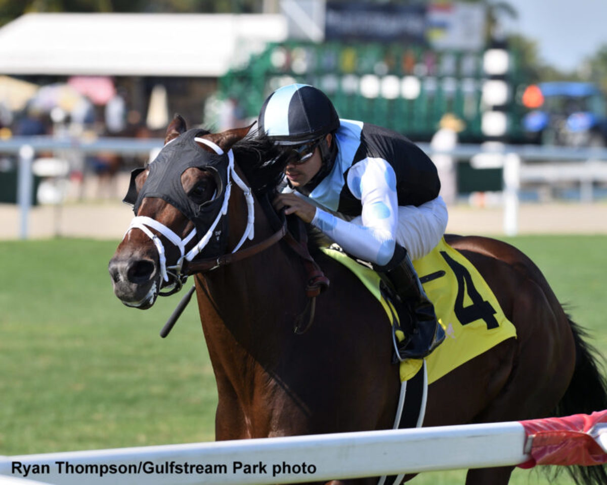 Ari Gold Wires Pulpit In First Stakes Run On Gulfstream's New Turf ...