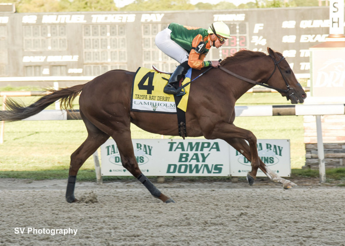 Classic Causeway All The Way In Tampa Bay Derby Paulick Report