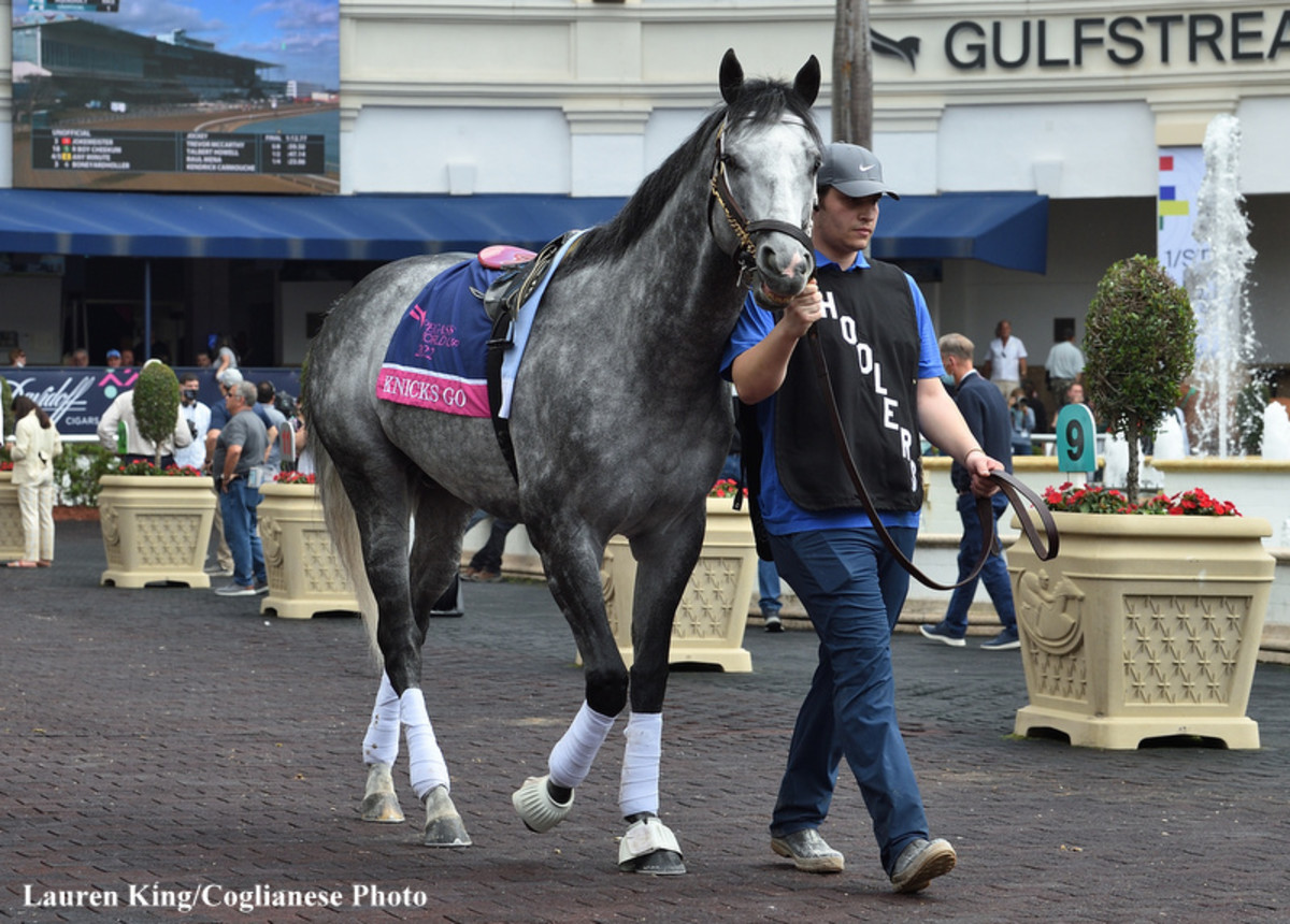 Knicks Go Honored As MarylandBred Horse Of Year Paulick Report