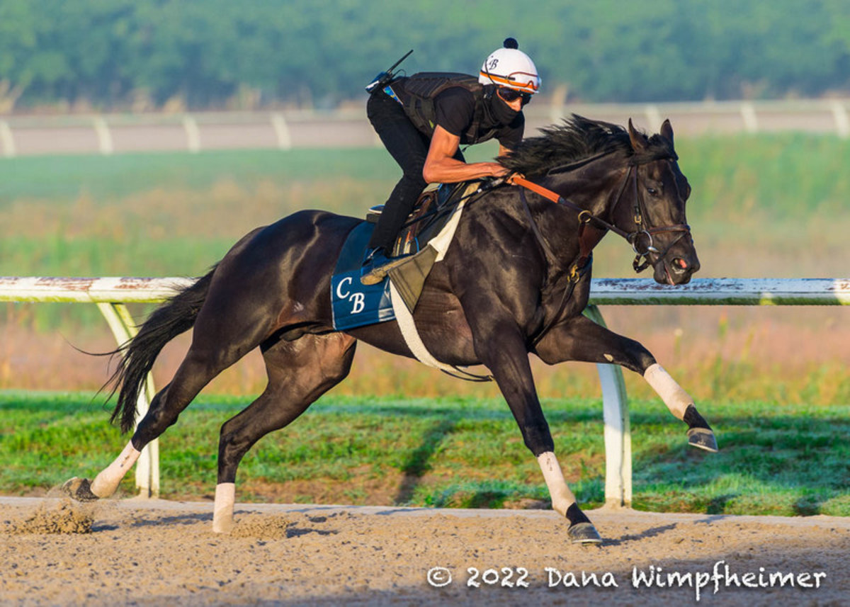 Equibase Analysis Smile Happy, Zandon To Battle It Out In Blue Grass