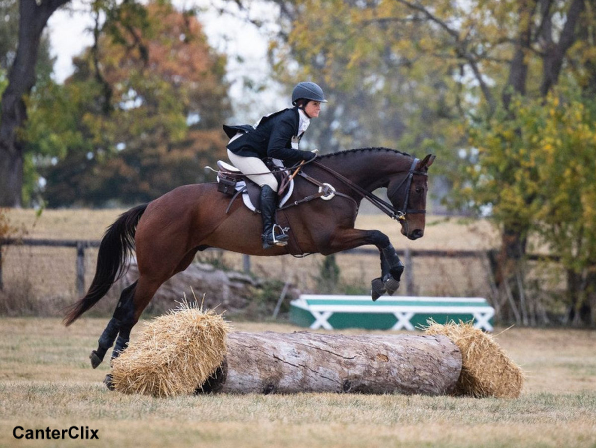 2022 Thoroughbred Makeover: Meet The Preliminary Competition Winners ...